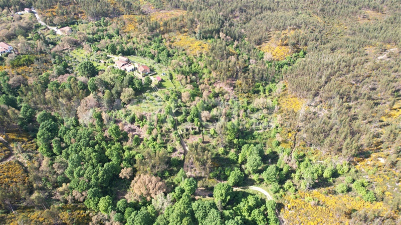 Terreno com ruina  Pedrógão Grande, Graça - 1403472 - 15