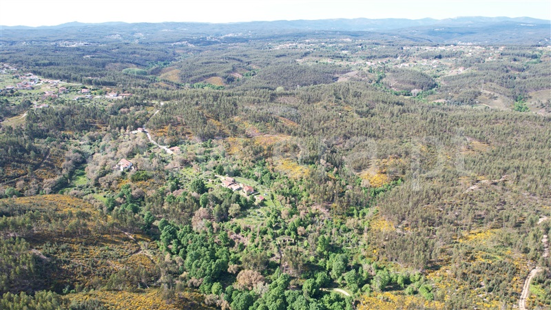 Terreno com ruina  Pedrógão Grande, Graça - 1403472 - 16