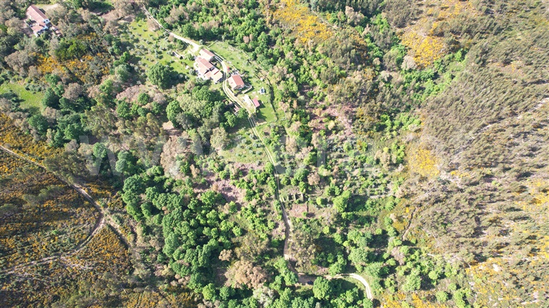 Terreno com ruina  Pedrógão Grande, Graça - 1403472 - 17