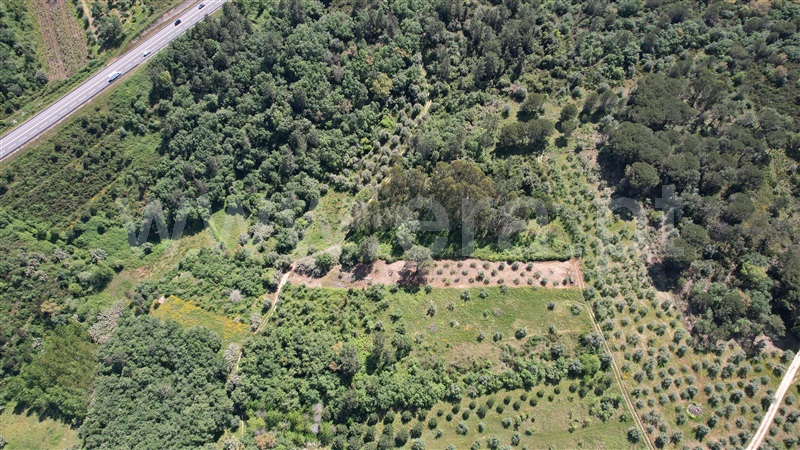 Terreno com ruina  Pedrógão Grande, Graça - 1403472 - 18