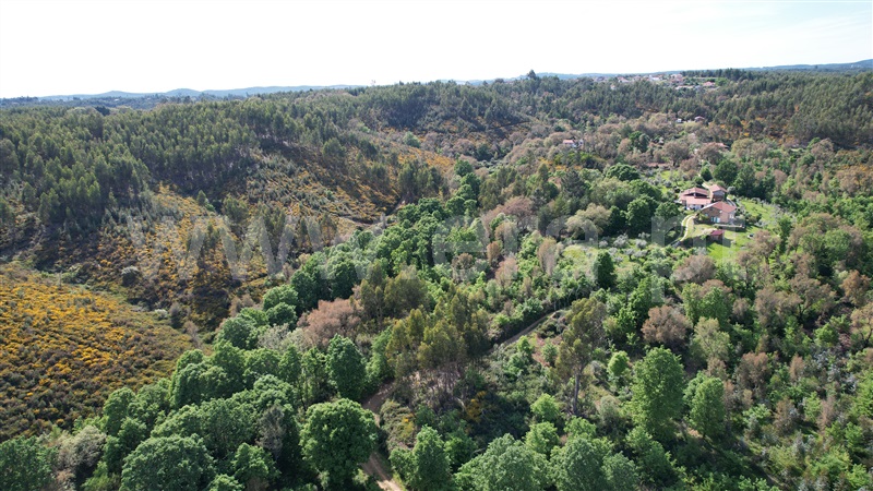 Terreno com ruina  Pedrógão Grande, Graça - 1403472 - 19