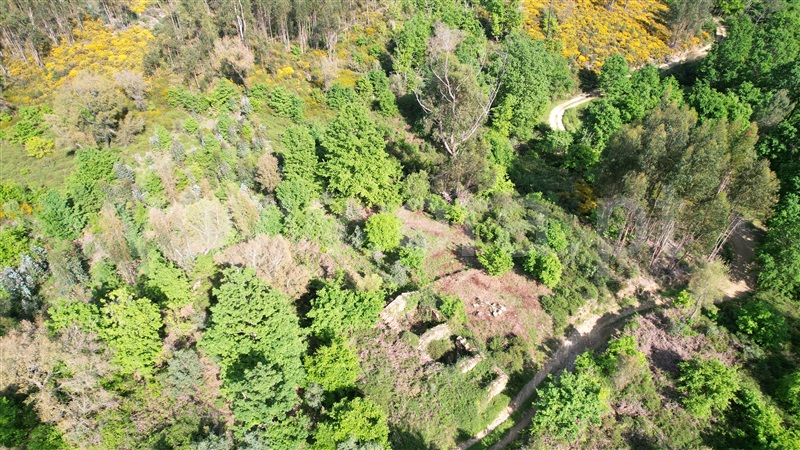 Terreno com ruina  Pedrógão Grande, Graça - 1403472 - 20