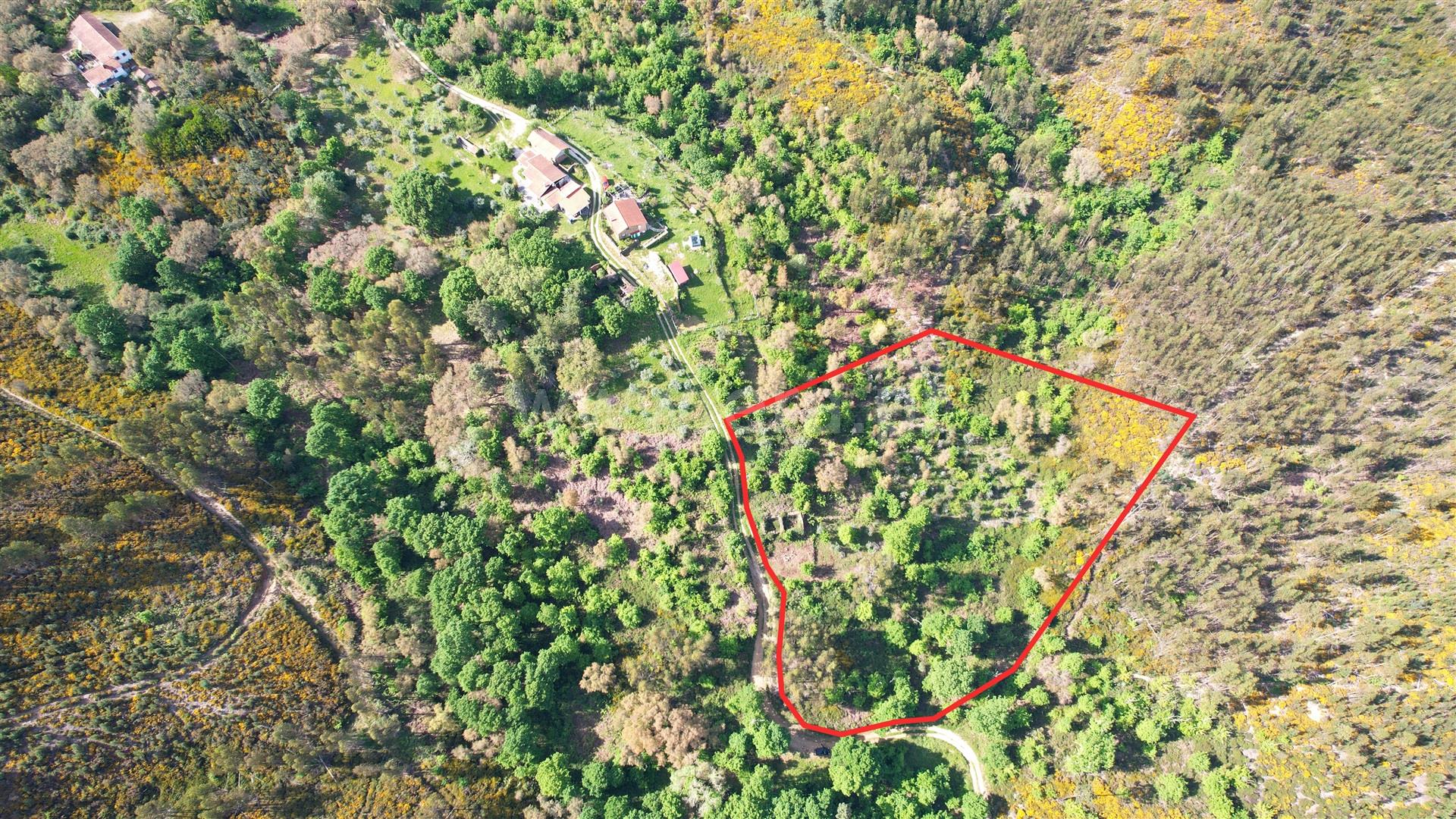 Land for sale in Pedrógão Grande, Portugal — €80,000