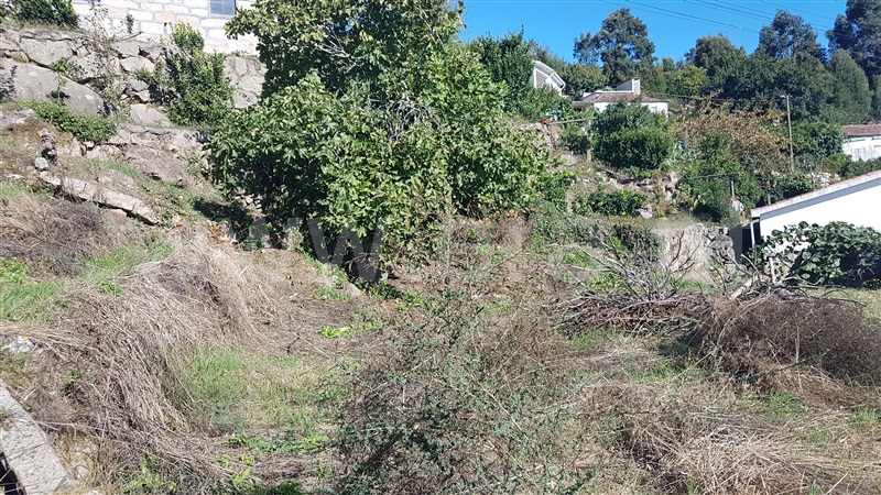 Terreno com ruina  Penafiel, Boelhe - 1200914 - 4
