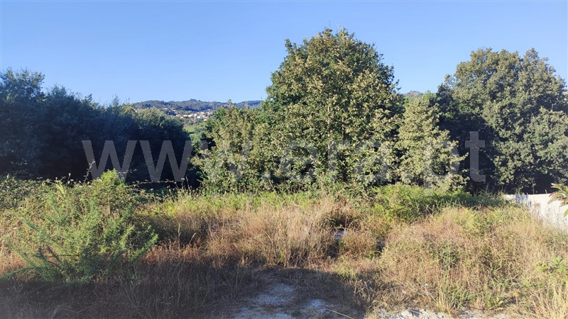 Terreno com ruina  Penafiel, Castelões - 1345613 - 3