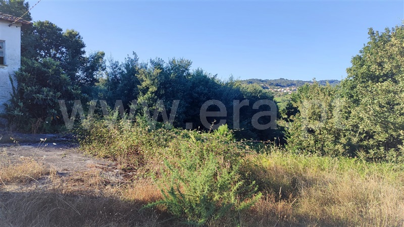 Terreno com ruina  Penafiel, Castelões - 1345613 - 8