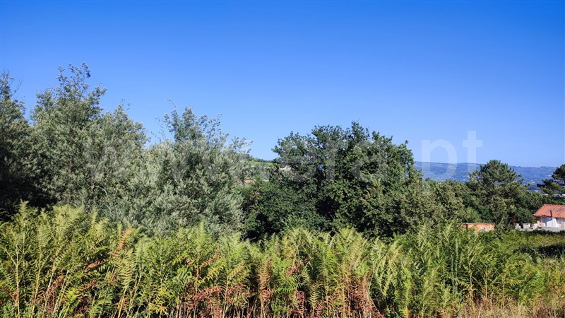 Terreno com ruina  com Urbano Penafiel, Castelões - 1345613 - 10