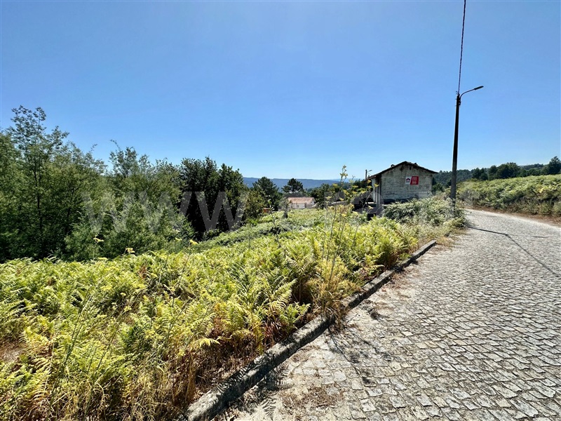 Terreno com ruina  com Urbano Penafiel, Castelões - 1345613 - 11