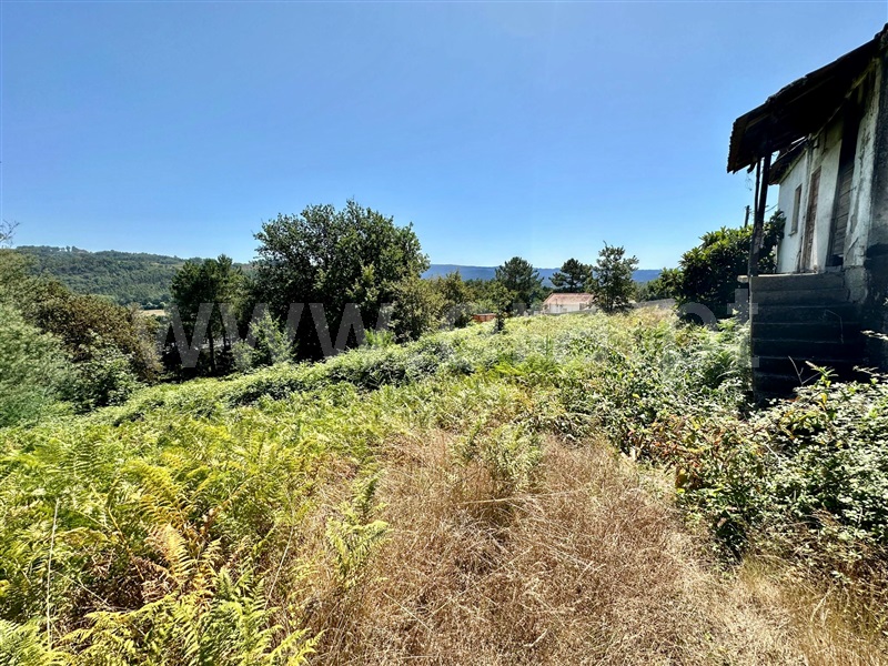 Terreno com ruina  com Urbano Penafiel, Castelões - 1345613 - 12