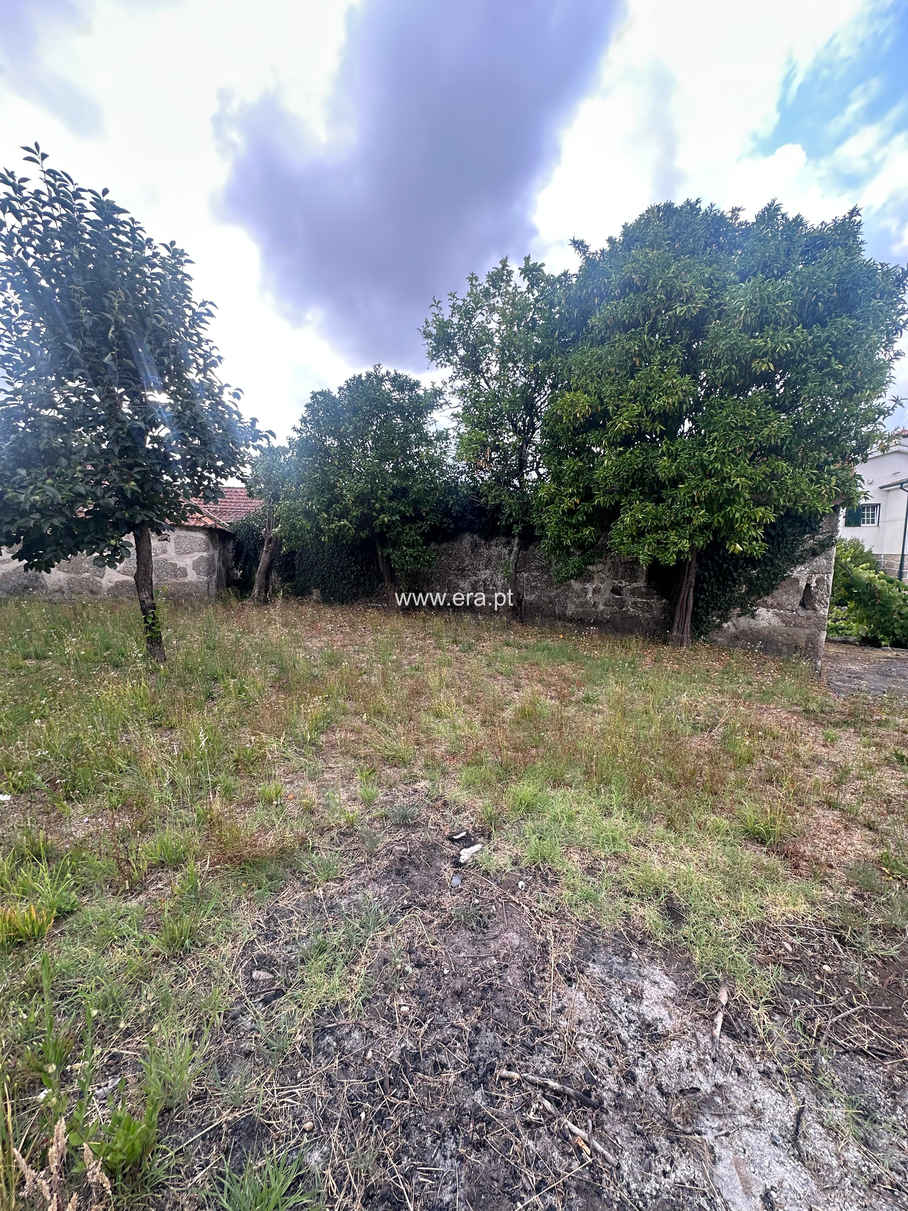Terreno com ruina / Penafiel, Paço de Sousa