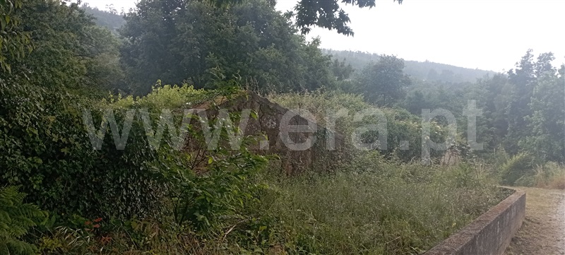 Terreno com ruina / Penafiel, Penafiel
