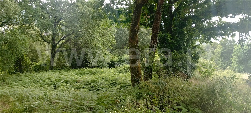 Terreno com ruina  Penafiel - 1331303 - 5