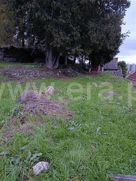 Terreno com ruina / Penafiel, Recezinhos (São Mamede)