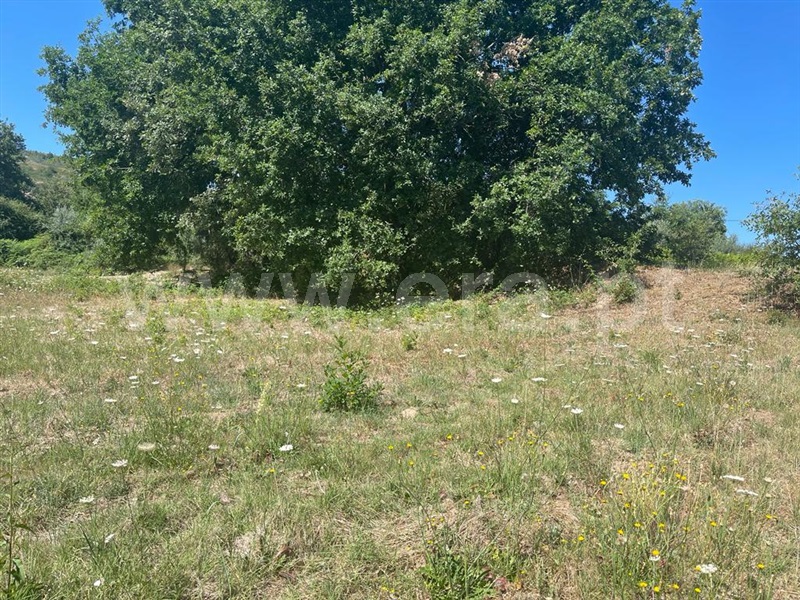 Terreno com ruina  Penalva do Castelo, Castelo de Penalva - 1344387 - 9
