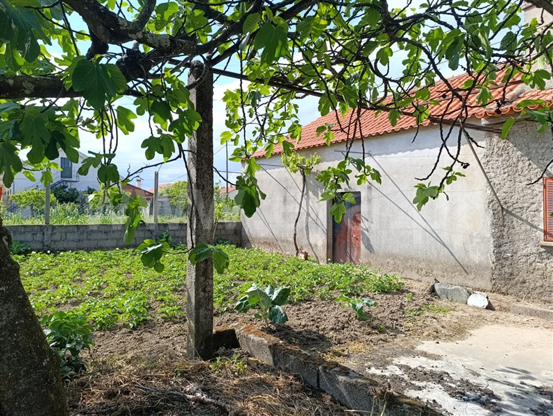 Terreno com ruina  Penamacor, Benquerença - 1483644 - 1