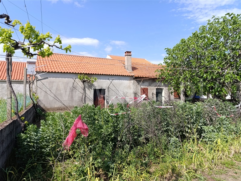 Terreno com ruina  Penamacor, Benquerença - 1483644 - 2