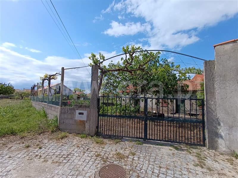 Terreno com ruina / Penamacor, Benquerença