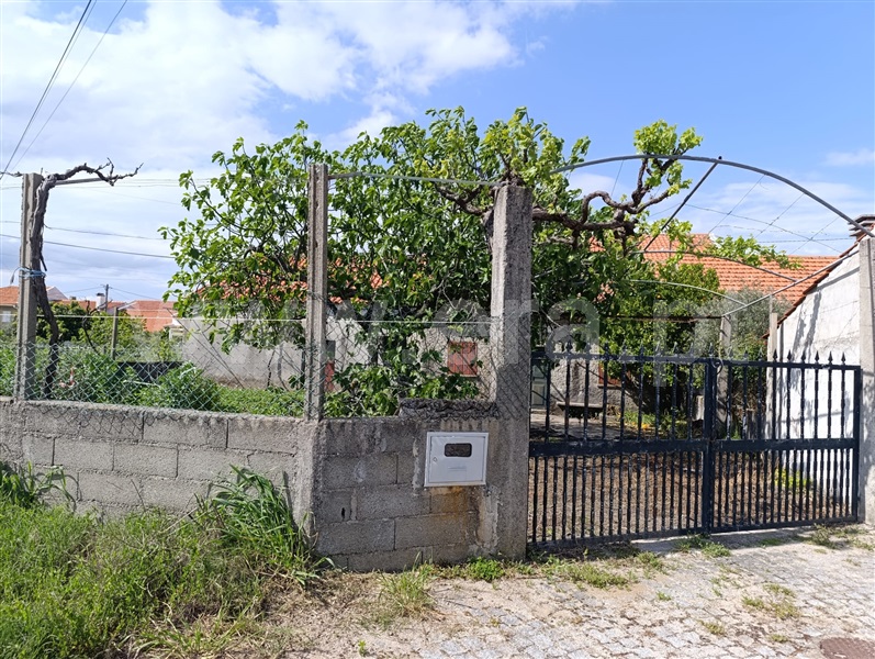 Terreno com ruina  Penamacor, Benquerença - 1483644 - 14