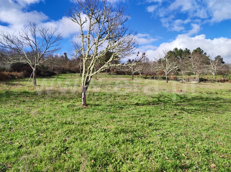 Terreno com ruina  Penedono, Penedono e Granja - 1299857 - 2