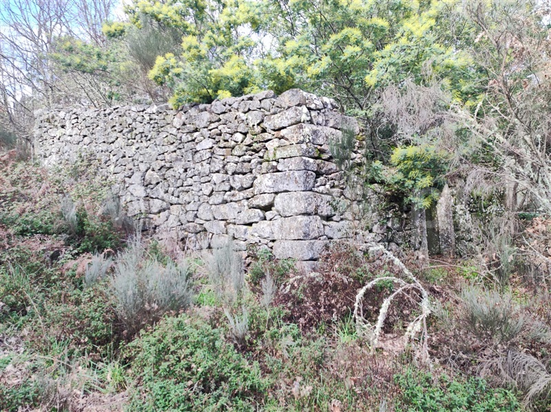 Terreno com ruina  Penedono, Penedono e Granja - 1299857 - 4