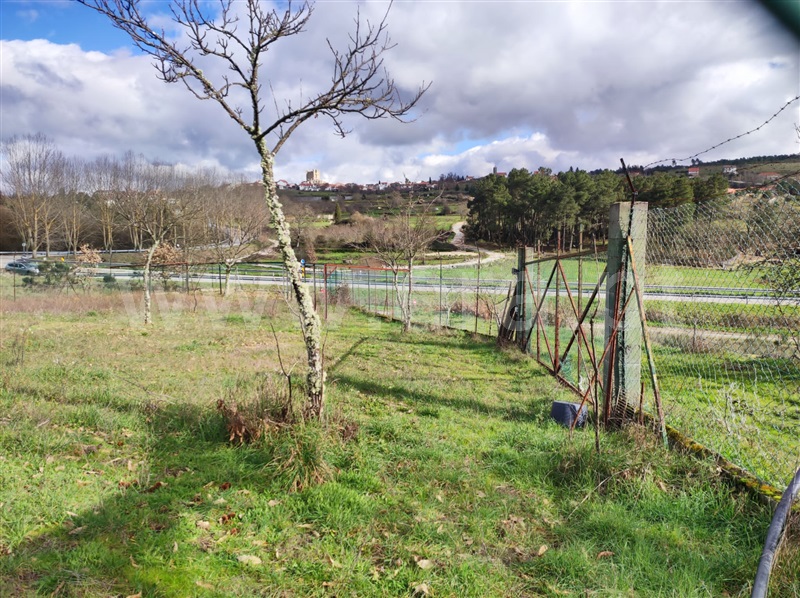 Terreno com ruina  Penedono, Penedono e Granja - 1299857 - 5