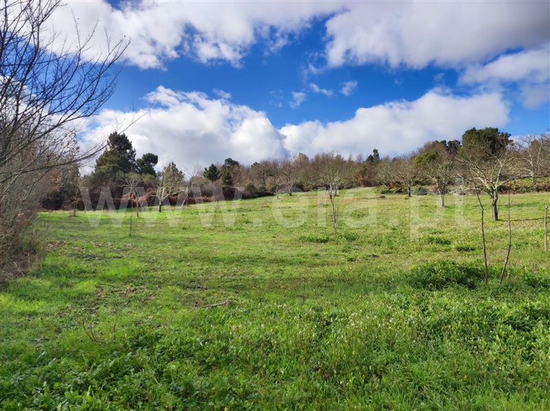 Terreno com ruina  Penedono, Penedono e Granja - 1299857 - 6