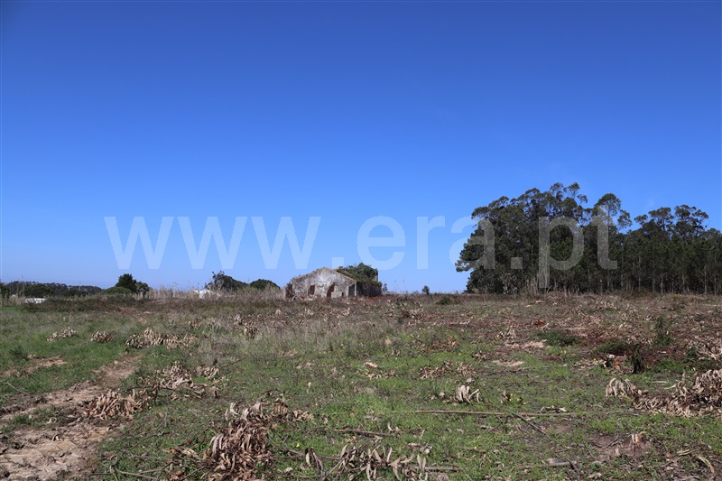 Terreno com ruina  Peniche, Atouguia da Baleia - 1001662 - 8