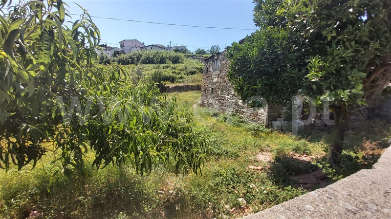 Terreno com ruina  Peso da Régua, Peso da Régua e Godim - 1099469 - 2