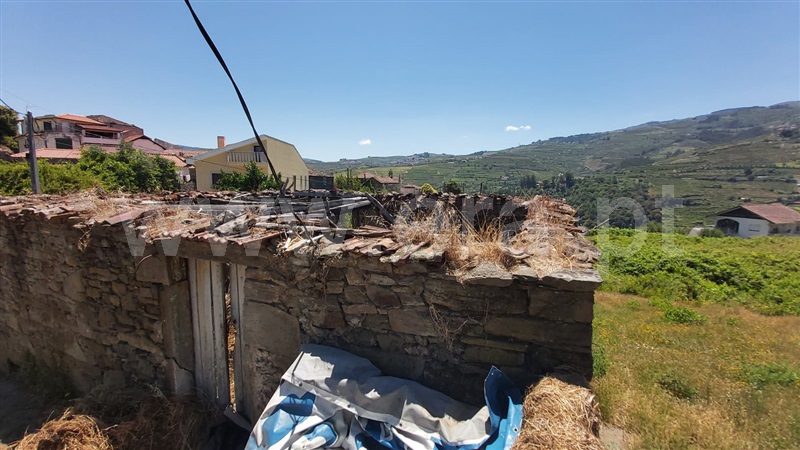Terreno com ruina  Peso da Régua, Peso da Régua e Godim - 1099469 - 5