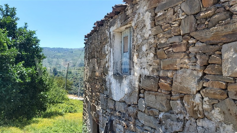 Terreno com ruina  Peso da Régua, Peso da Régua e Godim - 1099469 - 6