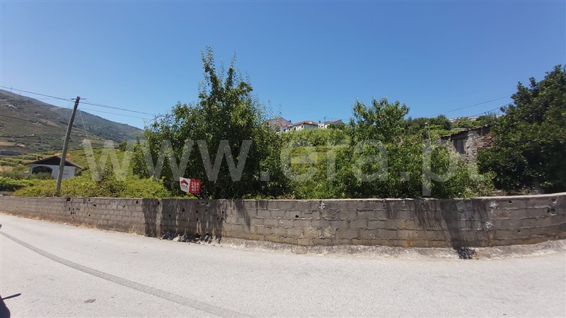 Terreno com ruina  Peso da Régua, Peso da Régua e Godim - 1099469 - 7