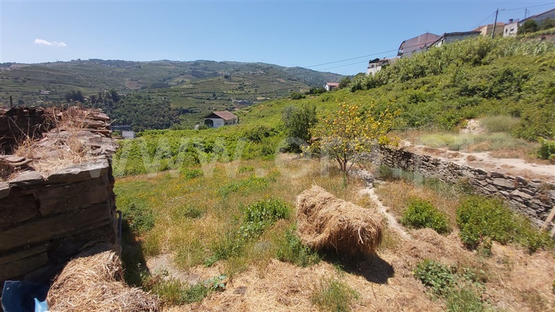 Terreno com ruina  Peso da Régua, Peso da Régua e Godim - 1099469 - 8