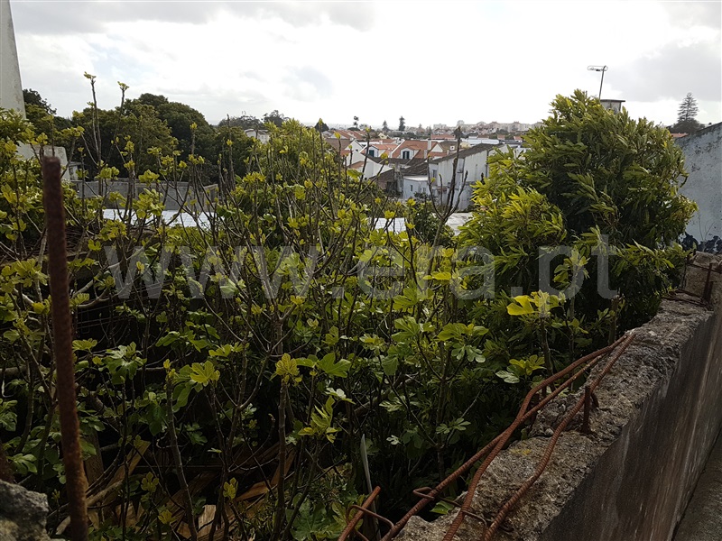 Terreno com ruina  Ponta Delgada, Ponta Delgada - 904377 - 3