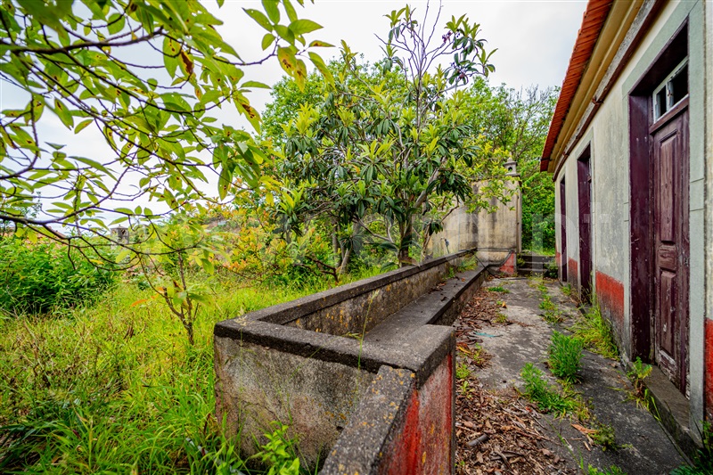 Terreno com ruina / Ponta do Sol, Canhas