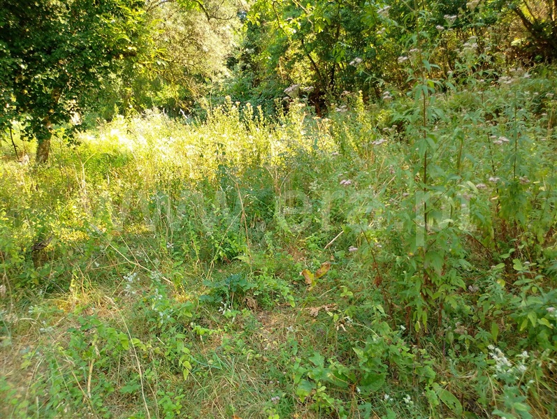 Terreno com ruina  Ponte da Barca, Sampriz - 1509957 - 2