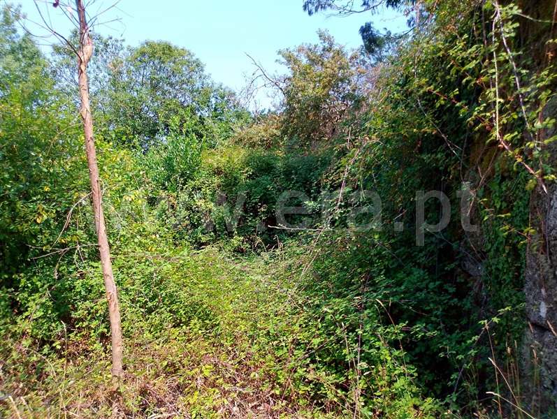 Terreno com ruina  Ponte da Barca, Sampriz - 1509957 - 3