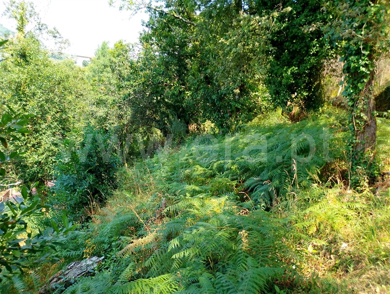 Terreno com ruina  Ponte da Barca, Sampriz - 1509957 - 4