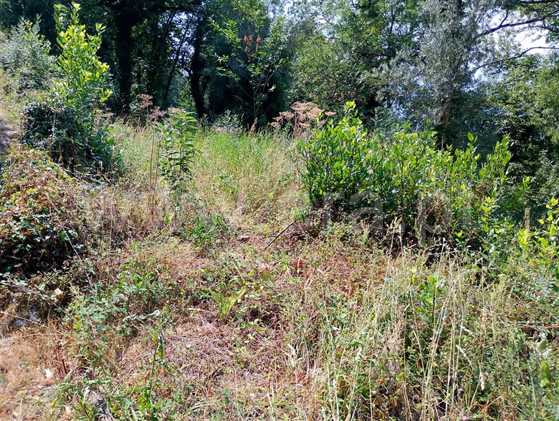 Terreno com ruina  Ponte da Barca, Sampriz - 1509957 - 5