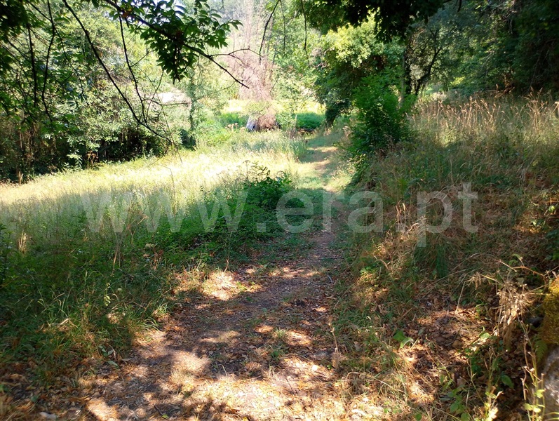 Terreno com ruina  Ponte da Barca, Sampriz - 1509957 - 6