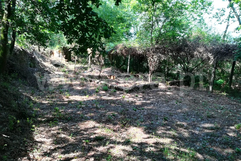 Terreno com ruina  Ponte de Lima, Anais - 930758 - 2