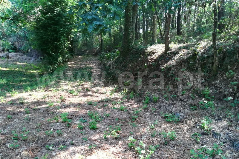 Terreno com ruina  Ponte de Lima, Anais - 930758 - 3