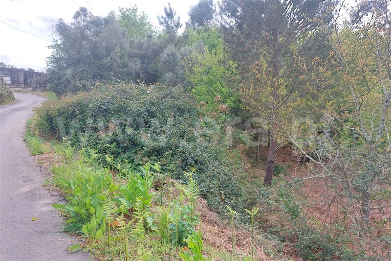 Moradia  Ponte de Lima, Arcozelo - 1474178 - 1