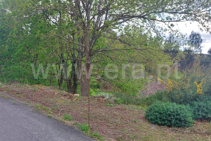 Moradia  Ponte de Lima, Arcozelo - 1474178 - 2
