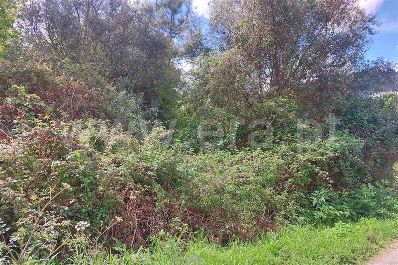 Moradia  Ponte de Lima, Arcozelo - 1474178 - 7