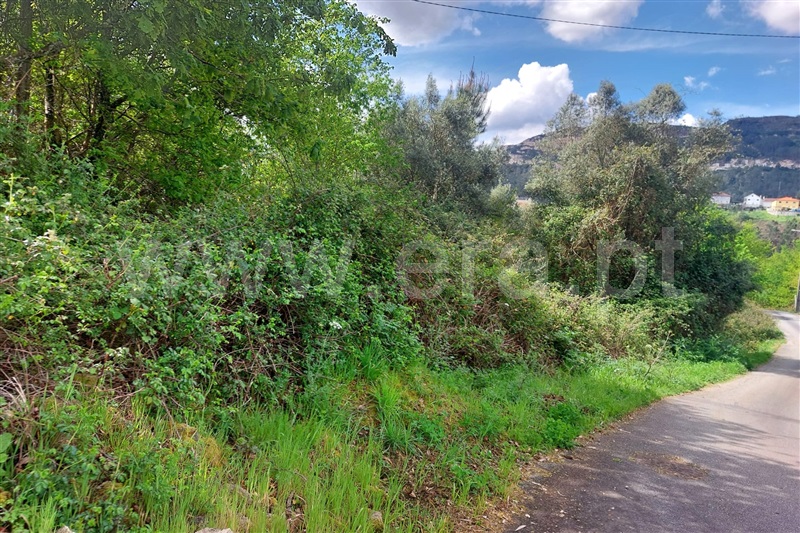 Moradia  Ponte de Lima, Arcozelo - 1474178 - 8