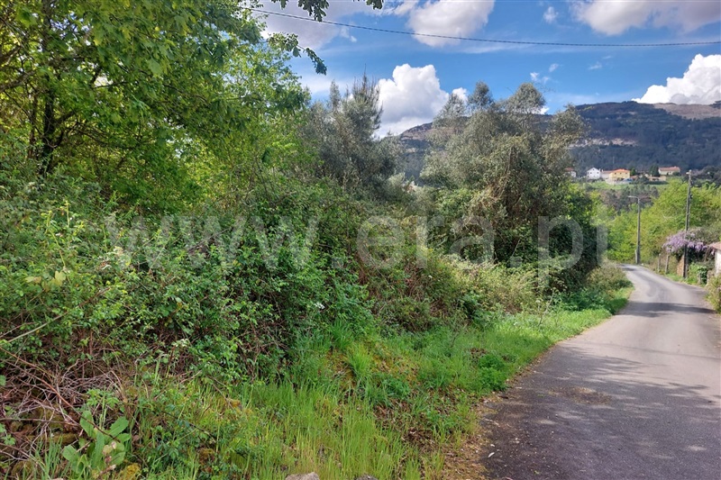 Moradia  Ponte de Lima, Arcozelo - 1474178 - 9