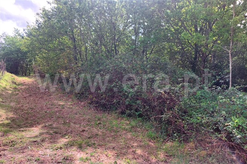 Moradia  Ponte de Lima, Arcozelo - 1474178 - 10