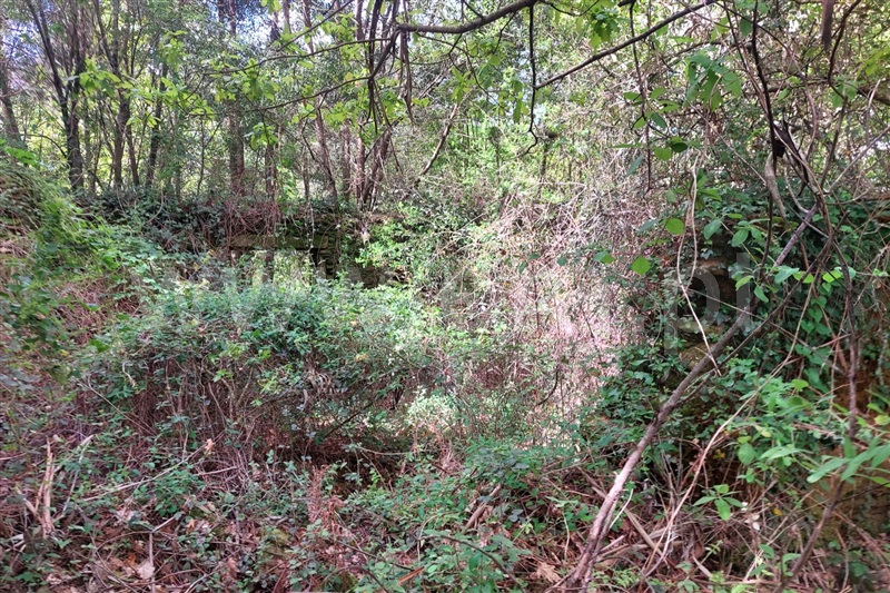 Terreno com ruina / Ponte de Lima, Arcozelo