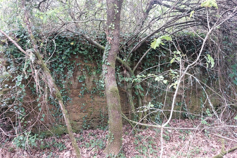 Moradia  Ponte de Lima, Arcozelo - 1474178 - 15