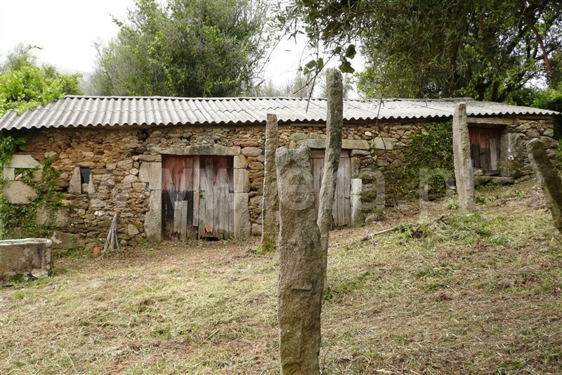 Terreno com ruina  Ponte de Lima, Arcozelo - 892678 - 2